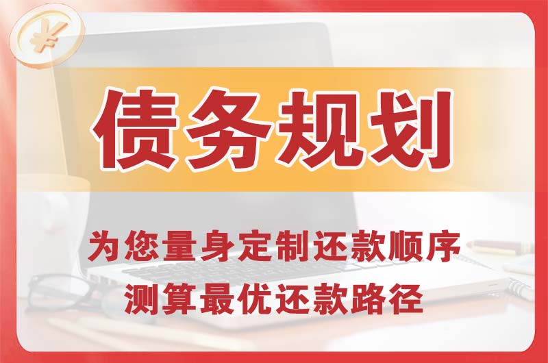 滨河西区债务规划